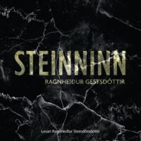 Steinninn - Ragnheiður Gestsdóttir