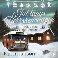 Jul längs Norrskensvägen - Karin Janson