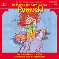 De Meischter Eder und sin Pumuckl, Nr. 13: De Pumuckl und d Tuube / De Pumuckl und d Silberblueme - Ellis Kaut, Jörg Schneider