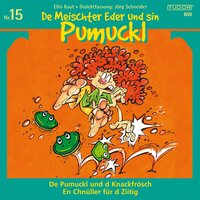 De Meischter Eder und sin Pumuckl, Nr. 15: De Pumuckl und d Knackfrösch / En Chnüller für d Ziitig - Ellis Kaut, Jörg Schneider