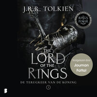 De terugkeer van de koning - J.R.R. Tolkien