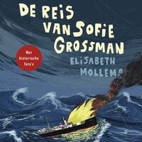 De reis van Sofie Grossman - Elisabeth Mollema