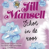 Schot in de roos - Jill Mansell