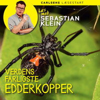 Læs med Sebastian Klein 19 - Verdens farligste edderkopper - Sebastian Klein