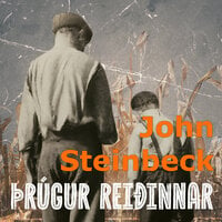 Þrúgur reiðinnar - John Steinbeck