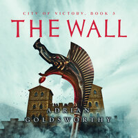 The Wall - Adrian Goldsworthy