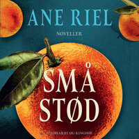 Små stød - Ane Riel