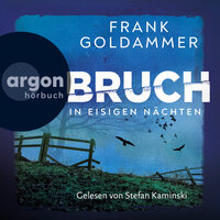 Bruch - In eisigen Nächten - Felix Bruch, Band 2 (Ungekürzte Lesung) - Frank Goldammer