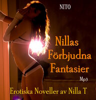 Nillas Förbjudna Fantasier : Erotiska noveller. - T Nilla