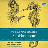 Sólskinshestur - Steinunn Sigurðardóttir