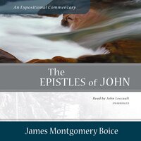 The Epistles of John: An Expositional Commentary - James Montgomery Boice