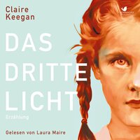 Das dritte Licht: Erzählung - Claire Keegan