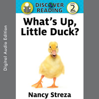 What's Up Little Duck - Nancy Streza