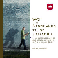 WOII in de Nederlandstalige literatuur: Een hoorcollege over 75 jaar oorlogsliteratuur in Nederland en België - Jaap Goedegebuure