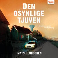 Den osynlige tjuven - Mats I. Lundgren, Mats I Lundgren