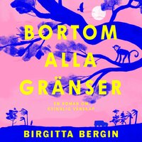 Bortom alla gränser - Birgitta Bergin