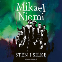 Sten i silke - Mikael Niemi