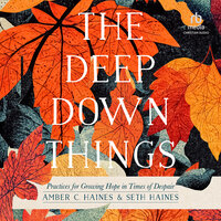 The Deep Down Things: Practices for Growing Hope in Times of Despair - Seth Haines, Amber C. Haines