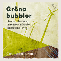 Gröna bubblor : Om etanolhaverier, kraschade vindkraftverk och bananer i Sveg - Christian Sandström