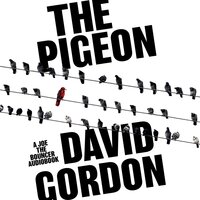 The Pigeon - David Gordon