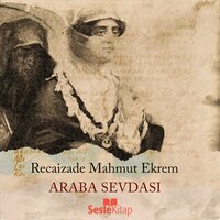 Araba Sevdası - Recaizade Mahmut Ekrem