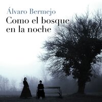 Como el bosque en la noche - Álvaro Bermejo