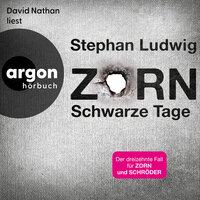 Schwarze Tage - Zorn, Band 13 (Ungekürzte Lesung) - Stephan Ludwig