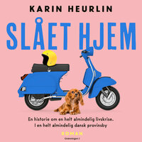 Slået hjem - Karin Heurlin