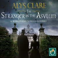 The Stranger in the Asylum - Alys Clare