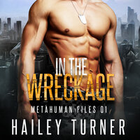 In the Wreckage - Hailey Turner