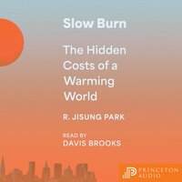 Slow Burn: The Hidden Costs of a Warming World - Robert Jisung Park