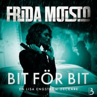Bit för bit - Frida Moisto