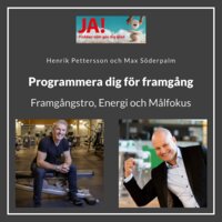 Programmera dig för framgång - 3 nycklar med Henrik Pettersson och Max Söderpalm - Max Söderpalm