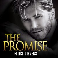 The Promise - Felice Stevens