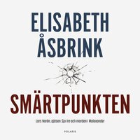Smärtpunkten - Elisabeth Åsbrink