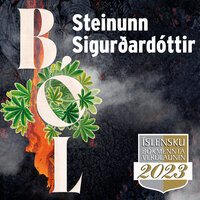 Ból - Steinunn Sigurðardóttir