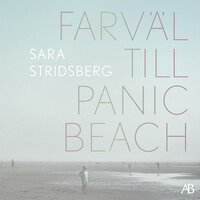 Farväl till Panic Beach : Roman Sara Stridsberg - Sara Stridsberg