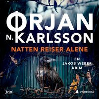 Natten reiser alene - Ørjan N. Karlsson