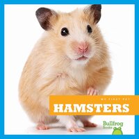 Hamsters - Cari Meister