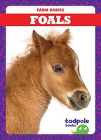 Foals - Tim Mayerling