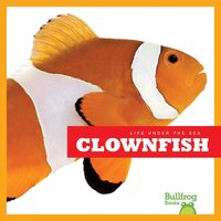 Clownfish - Cari Meister