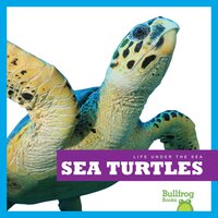 Sea Turtles - Cari Meister
