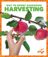 Harvesting - Rebecca Pettiford