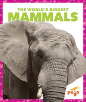 The World's Biggest Mammals - Mari Schuh