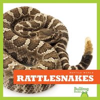 Rattlesnakes - Vanessa Black