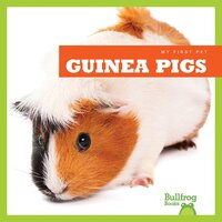 Guinea Pigs - Cari Meister