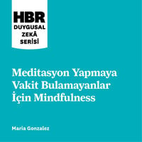 Meditasyon Yapmaya Vakit Bulamayanlar İçin Mindfulness - Harvard Business Review Press