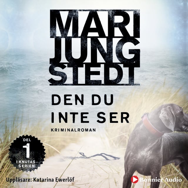 Mari Jungstedt - Den du inte ser