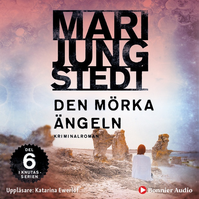 Mari Jungstedt - Den mörka ängeln