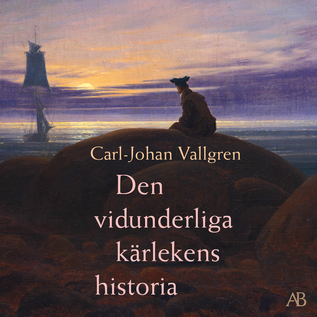 Carl-Johan Vallgren - Den vidunderliga kärlekens historia